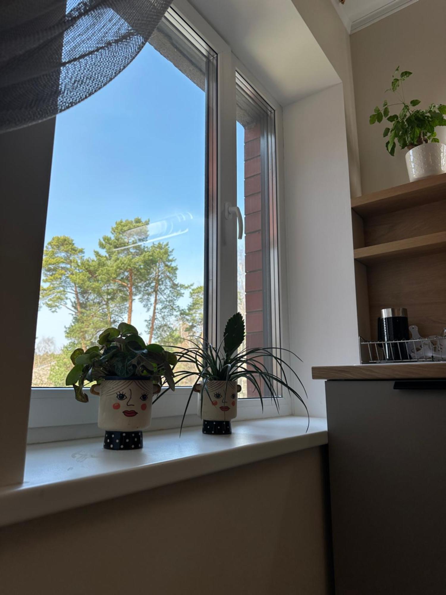 Pie Juras Apartment *